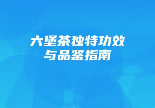 六堡茶独特功效与品鉴指南