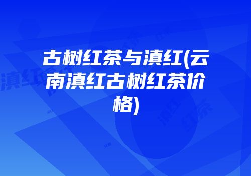 古树红茶与滇红(云南滇红古树红茶价格)
