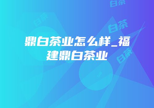 鼎白茶业怎么样_福建鼎白茶业