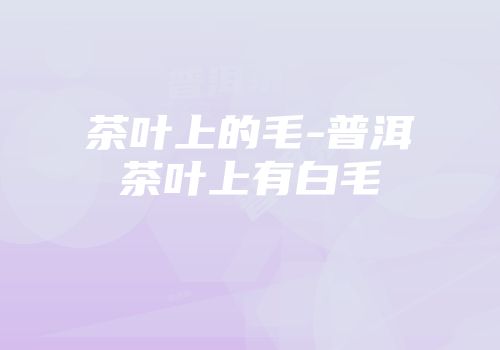 茶叶上的毛-普洱茶叶上有白毛