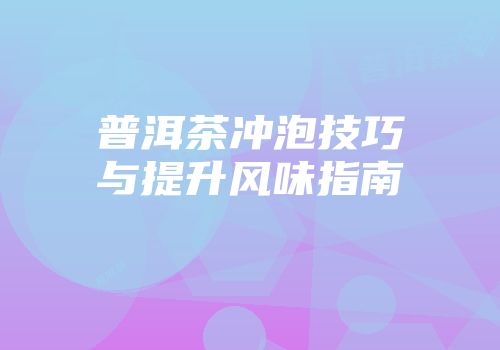 普洱茶冲泡技巧与提升风味指南