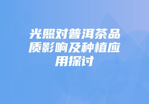 光照对普洱茶品质影响及种植应用探讨
