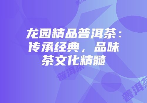 龙园精品普洱茶：传承经典，品味茶文化精髓