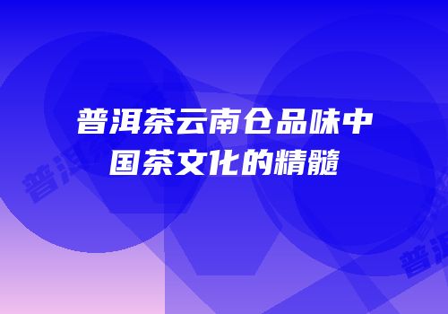 普洱茶云南仓品味中国茶文化的精髓