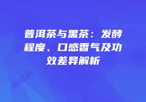 普洱茶与黑茶：发酵程度、口感香气及功效差异解析