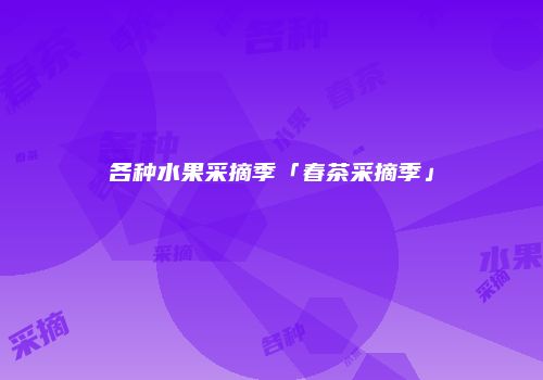 各种水果采摘季「春茶采摘季」