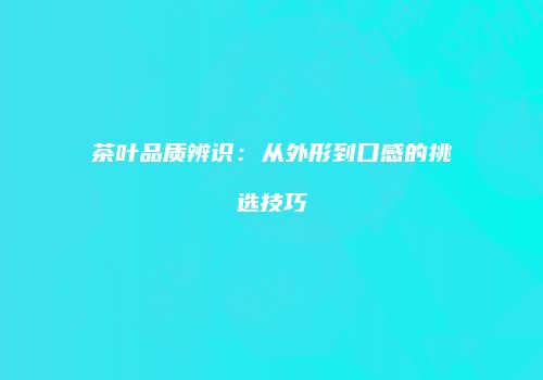 茶叶品质辨识：从外形到口感的挑选技巧
