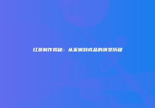 红茶制作揭秘：从采摘到成品的演变历程