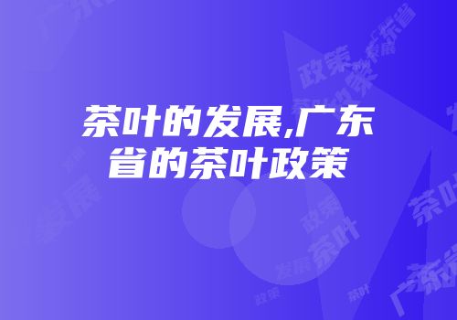 茶叶的发展,广东省的茶叶政策