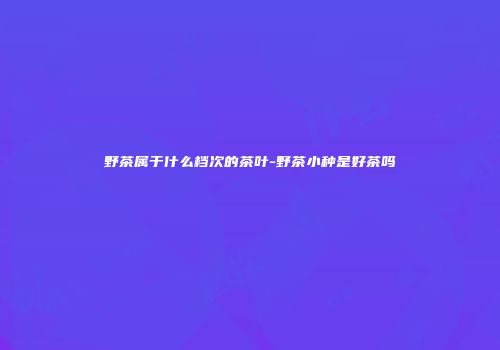 野茶属于什么档次的茶叶-野茶小种是好茶吗