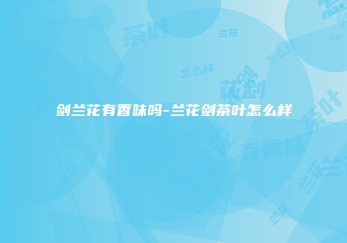 剑兰花有香味吗-兰花剑茶叶怎么样