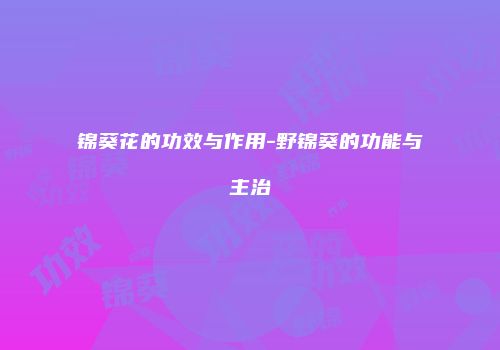 锦葵花的功效与作用-野锦葵的功能与主治