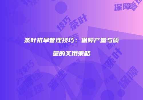 茶叶抗旱管理技巧：保障产量与质量的实用策略