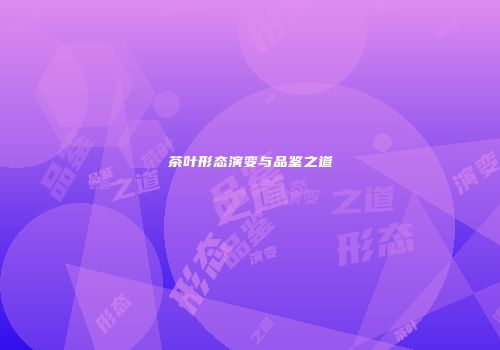 茶叶形态演变与品鉴之道