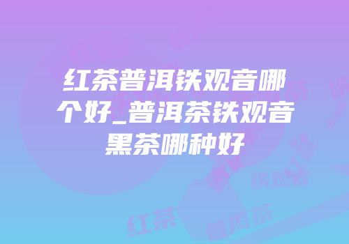 红茶普洱铁观音哪个好_普洱茶铁观音黑茶哪种好