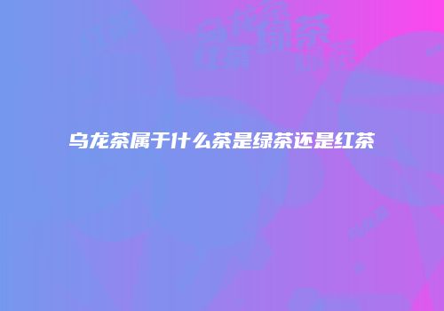 乌龙茶属于什么茶是绿茶还是红茶