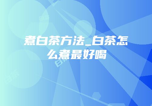 煮白茶方法_白茶怎么煮最好喝