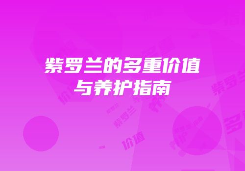 紫罗兰的多重价值与养护指南