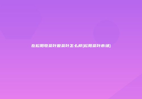 在松阳收茶叶做茶叶怎么样(松阳茶叶市场)