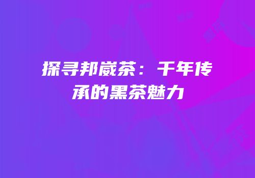 探寻邦崴茶：千年传承的黑茶魅力