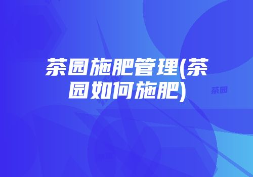 茶园施肥管理(茶园如何施肥)