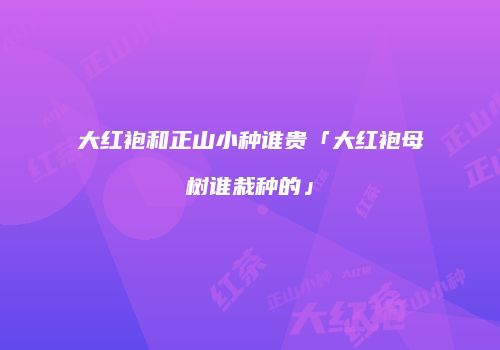 大红袍和正山小种谁贵「大红袍母树谁栽种的」