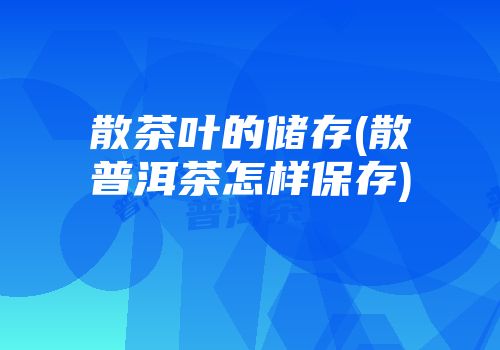 散茶叶的储存(散普洱茶怎样保存)