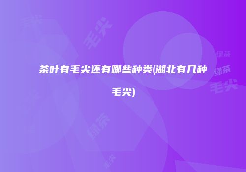茶叶有毛尖还有哪些种类(湖北有几种毛尖)