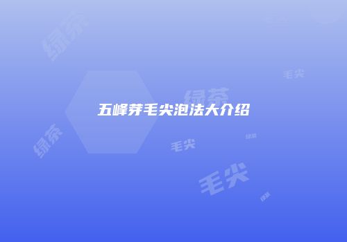 五峰芽毛尖泡法大介绍