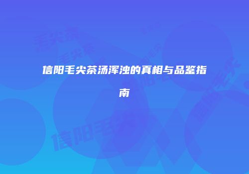 信阳毛尖茶汤浑浊的真相与品鉴指南