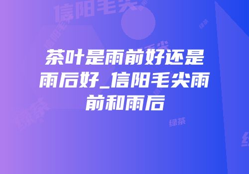 茶叶是雨前好还是雨后好_信阳毛尖雨前和雨后
