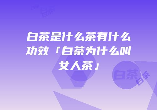白茶是什么茶有什么功效「白茶为什么叫女人茶」