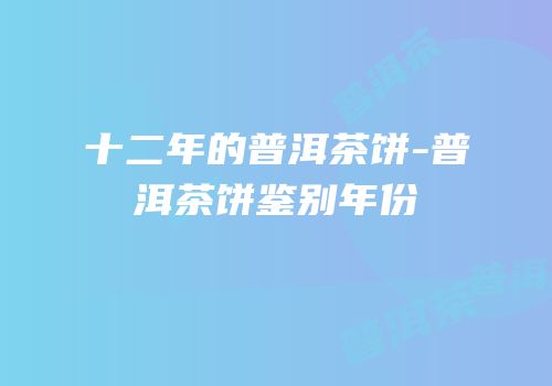 十二年的普洱茶饼-普洱茶饼鉴别年份