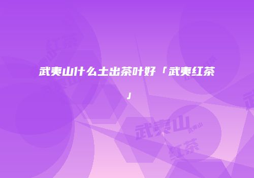 武夷山什么土出茶叶好「武夷红茶」