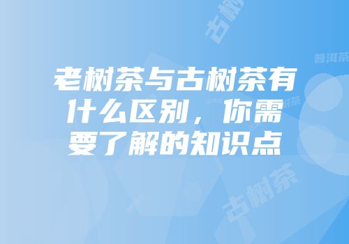 老树茶与古树茶有什么区别，你需要了解的知识点