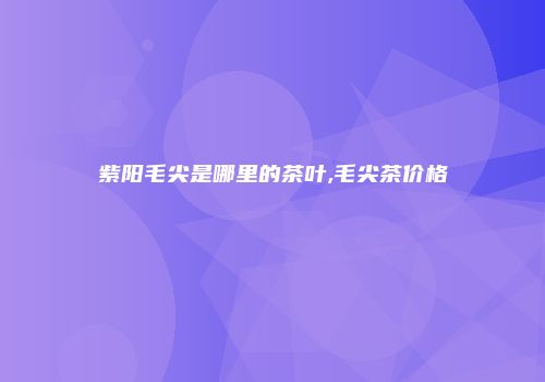 紫阳毛尖是哪里的茶叶,毛尖茶价格