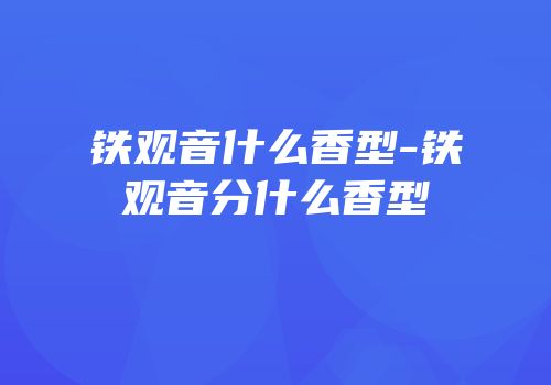 铁观音什么香型-铁观音分什么香型