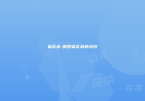 菊花茶-喝野菊花茶的功效