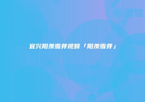 宜兴阳羡雪芽视频「阳羡雪芽」
