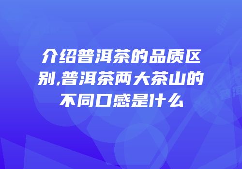 介绍普洱茶的品质区别,普洱茶两大茶山的不同口感是什么