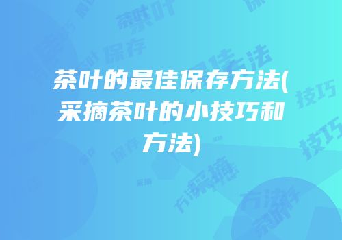 茶叶的最佳保存方法(采摘茶叶的小技巧和方法)