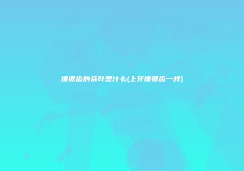 像锯齿的茶叶是什么(上牙像锯齿一样)