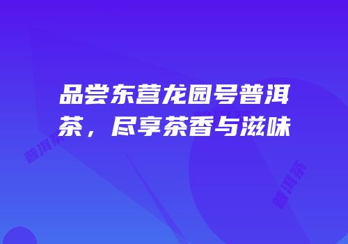 品尝东营龙园号普洱茶，尽享茶香与滋味