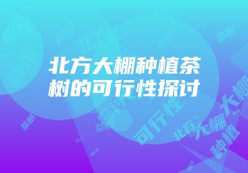 北方大棚种植茶树的可行性探讨