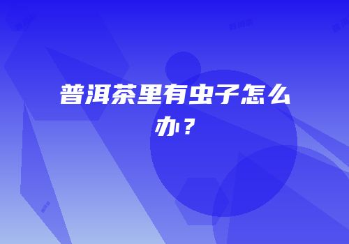 普洱茶里有虫子怎么办？