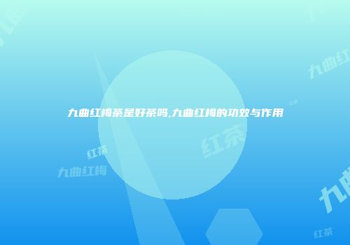 九曲红梅茶是好茶吗,九曲红梅的功效与作用