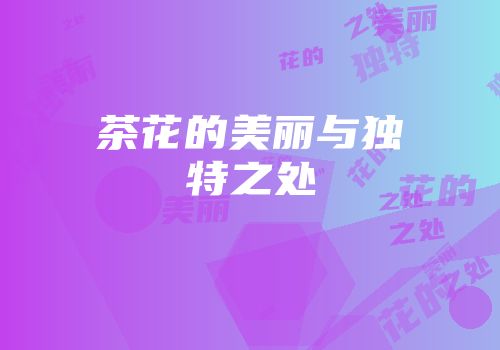 茶花的美丽与独特之处