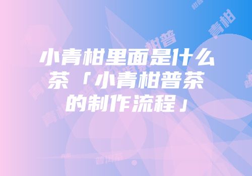 小青柑里面是什么茶「小青柑普茶的制作流程」