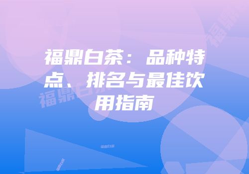 福鼎白茶：品种特点、排名与最佳饮用指南