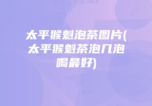 太平猴魁泡茶图片(太平猴魁茶泡几泡喝最好)